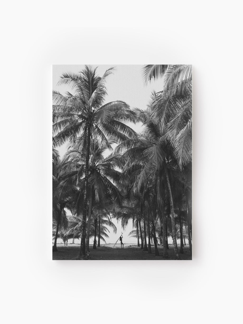 Stretched Canvas