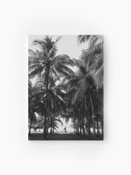 Stretched Canvas