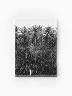 Stretched Canvas