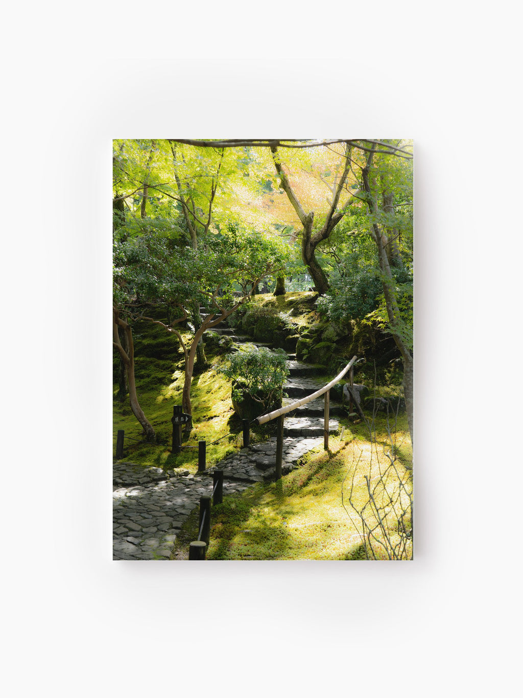 Stretched Canvas