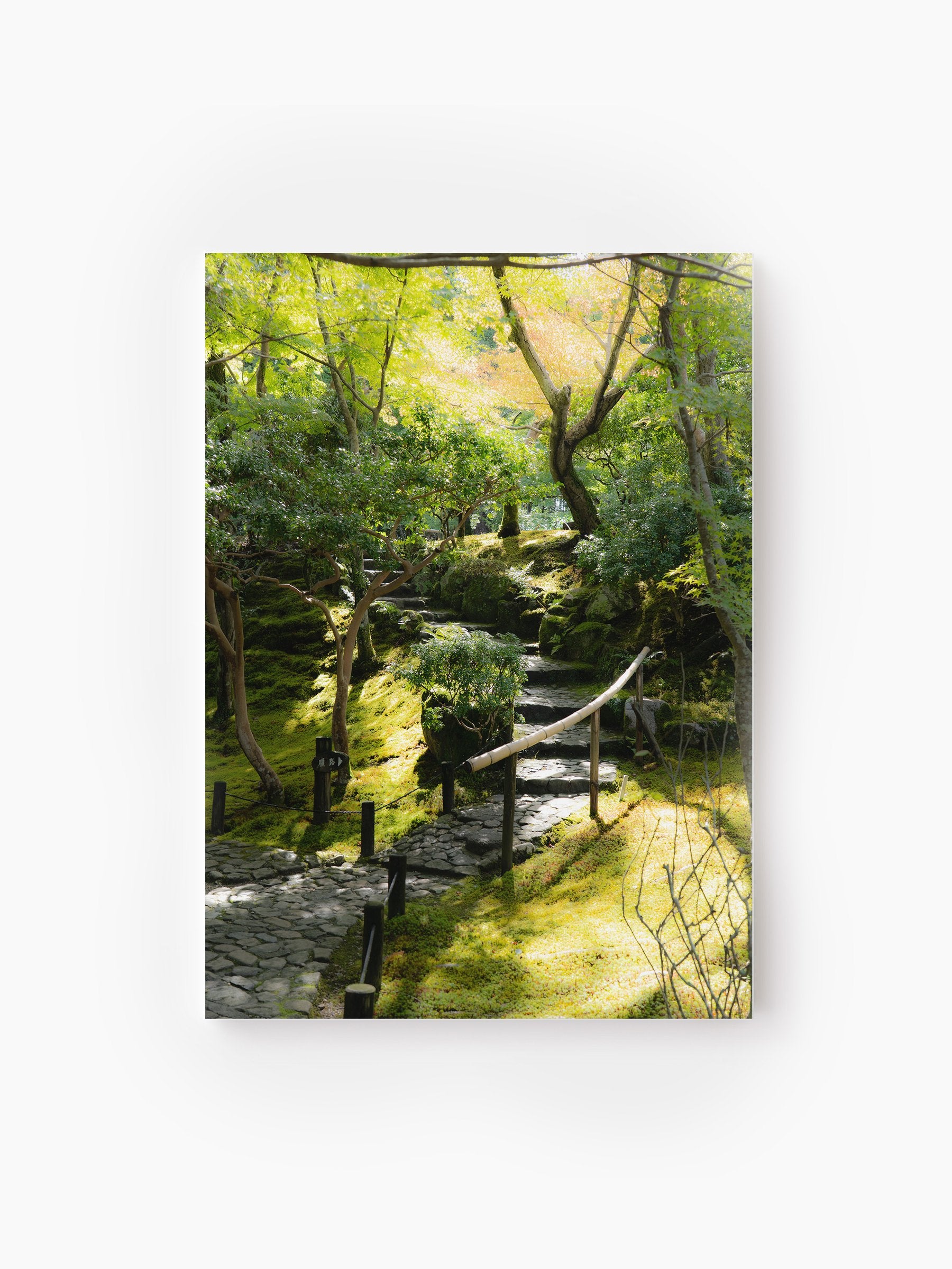 Stretched Canvas