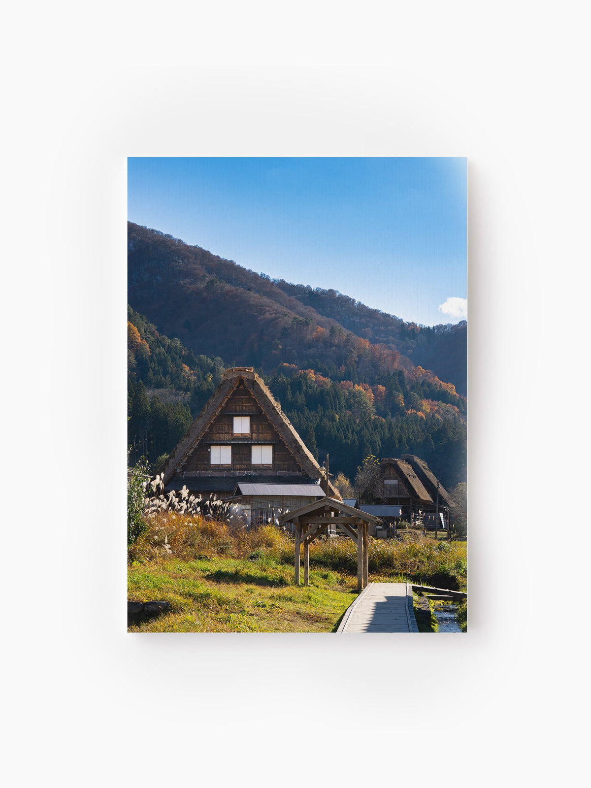 Stretched Canvas