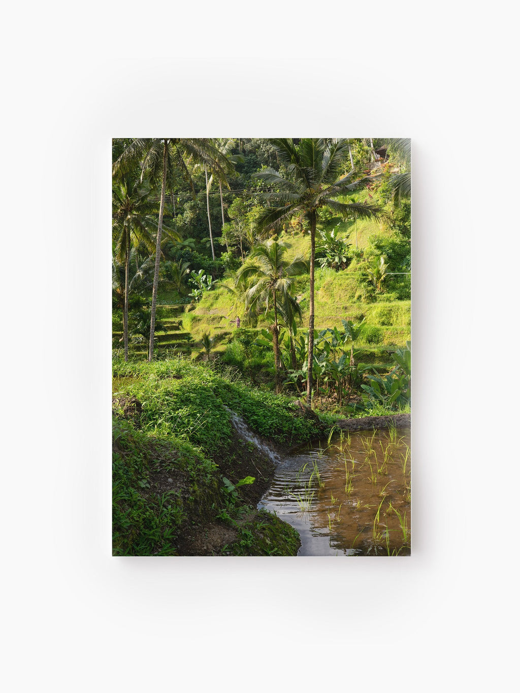 Stretched Canvas