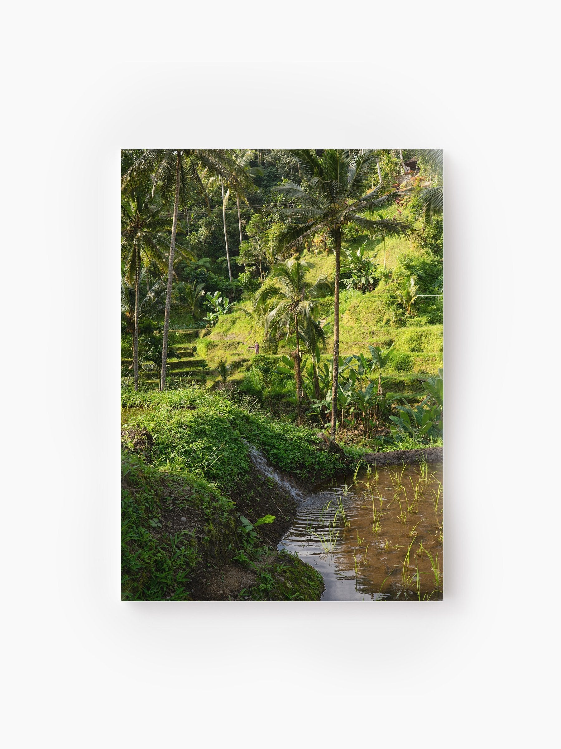 Stretched Canvas