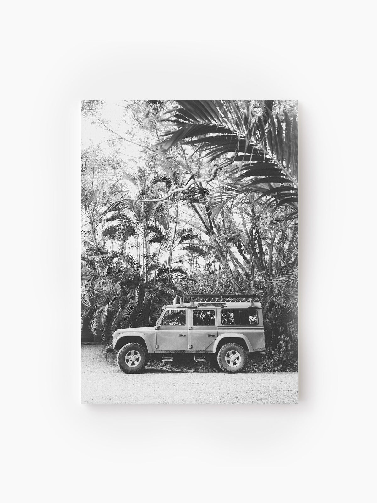 Stretched Canvas