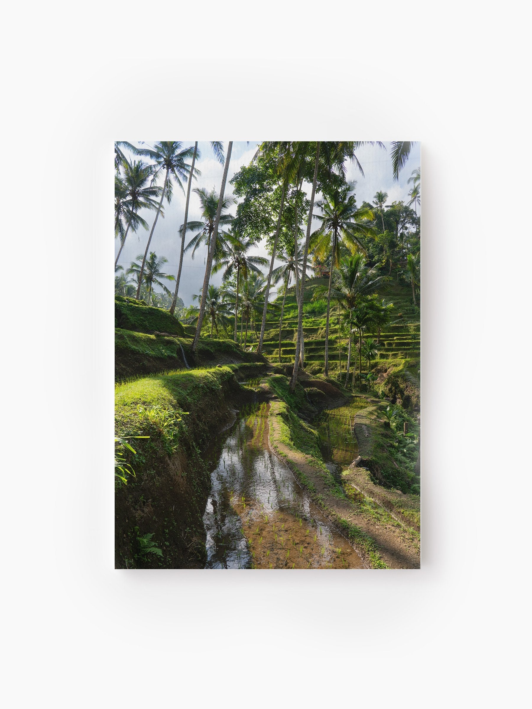 Stretched Canvas