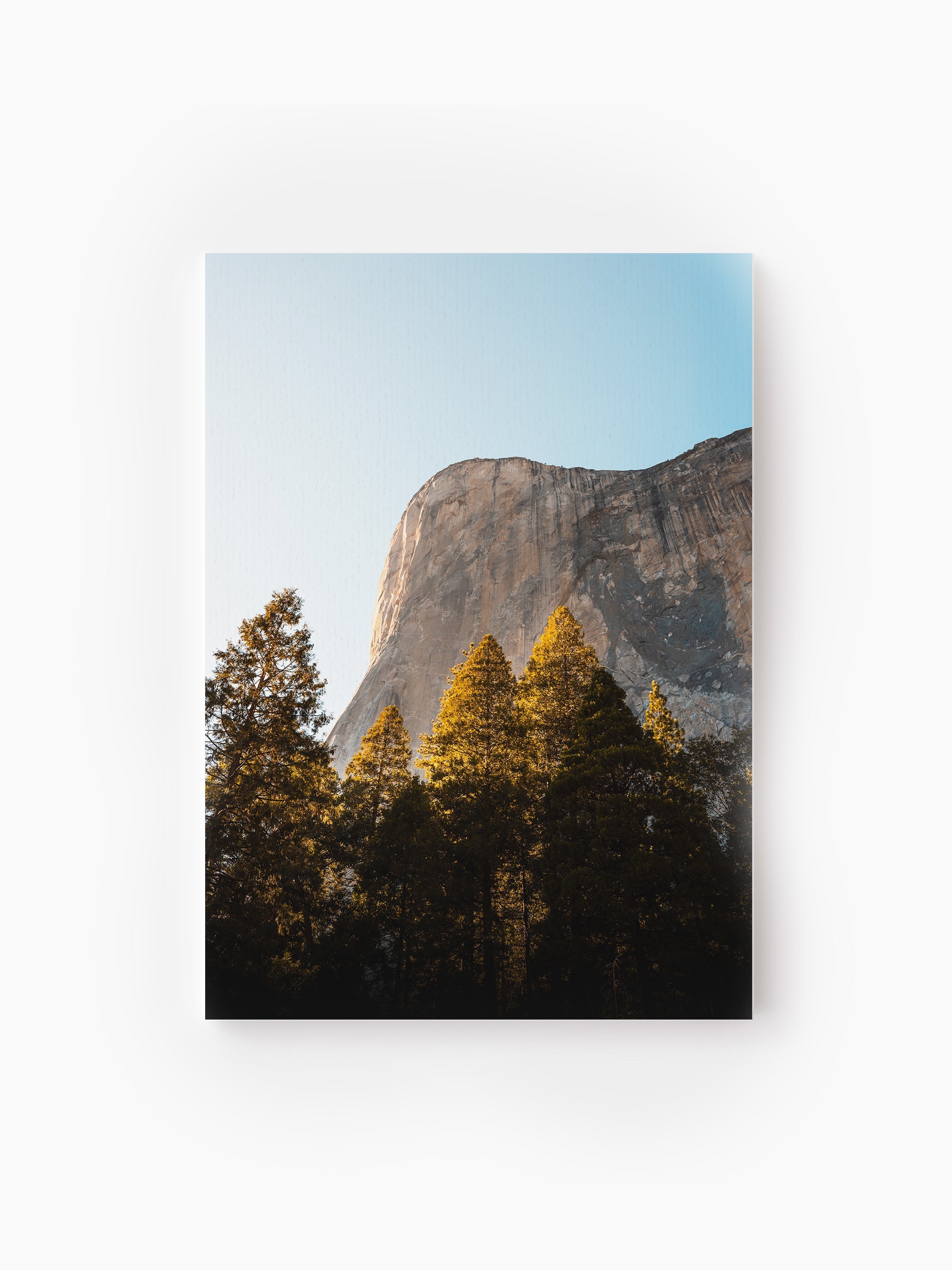 Stretched Canvas