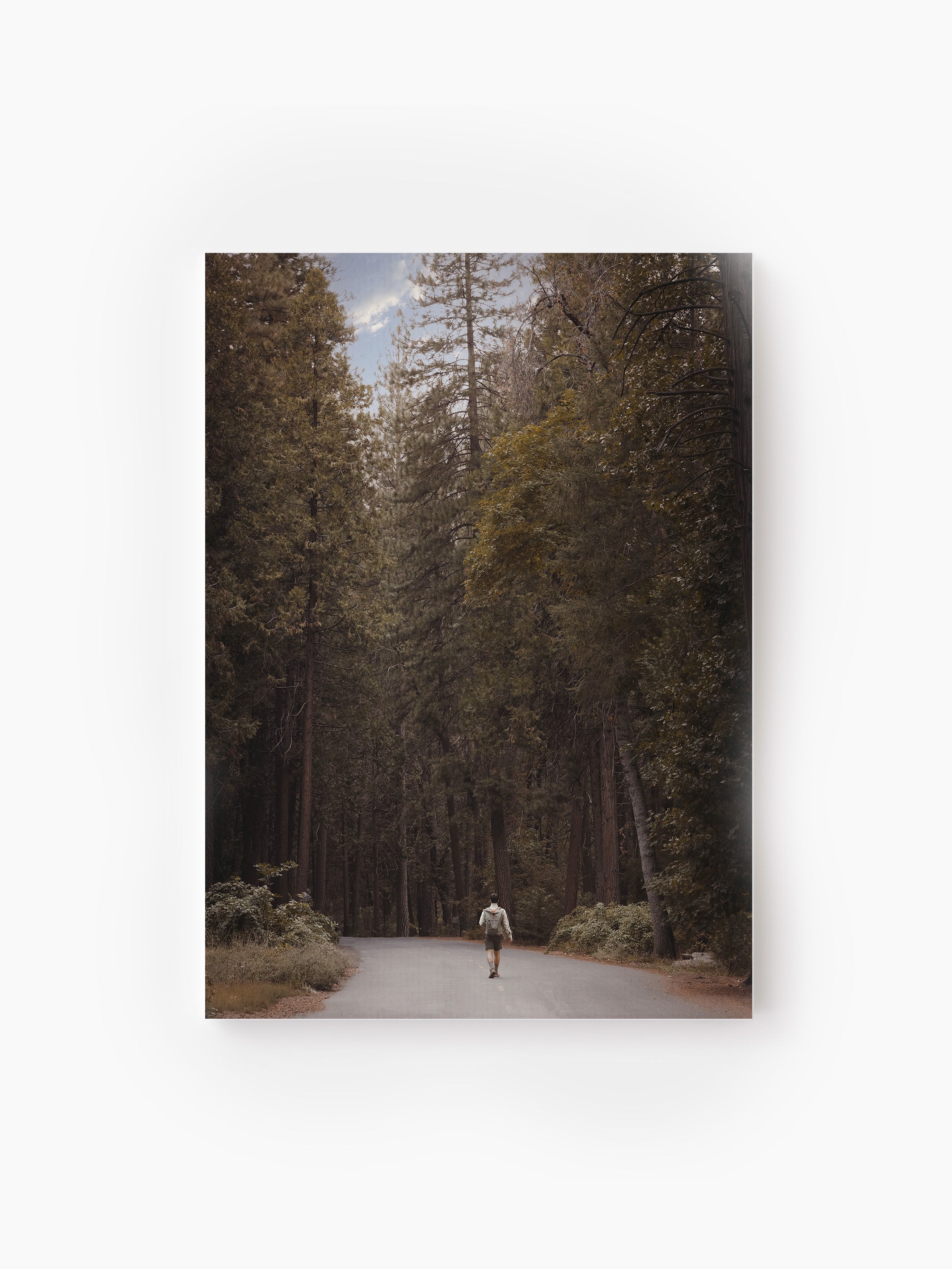 Stretched Canvas