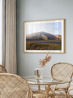 Mockup-Landscape-01