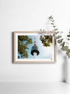 Mockup-Landscape-12