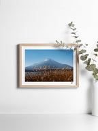 Mockup-Landscape-12