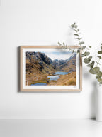 Mockup-Landscape-12