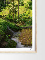 Mockup-Portrait-07