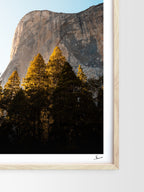 Mockup-Portrait-07