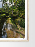 Mockup-Portrait-07